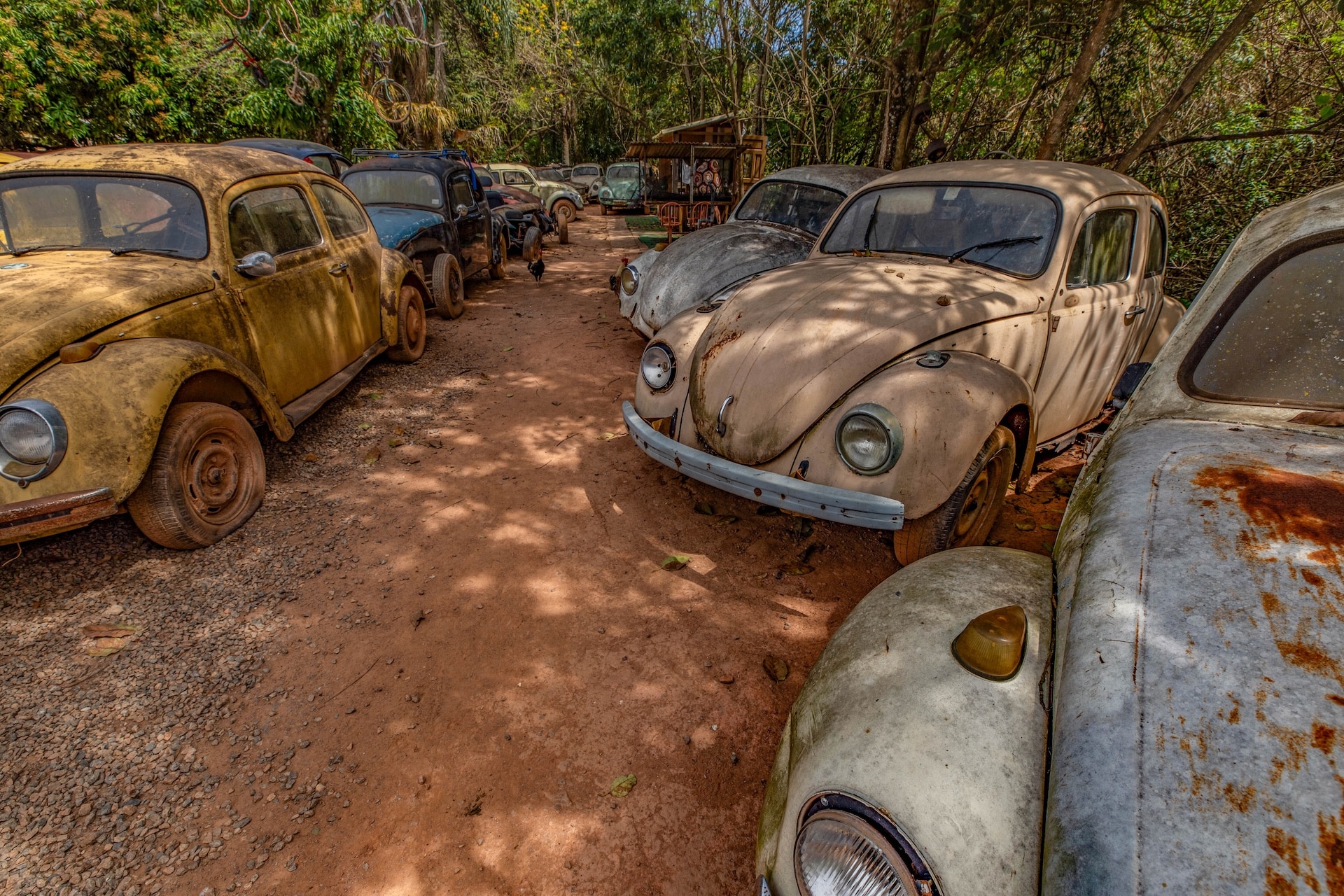 Piracaia_SalvaFusca-6