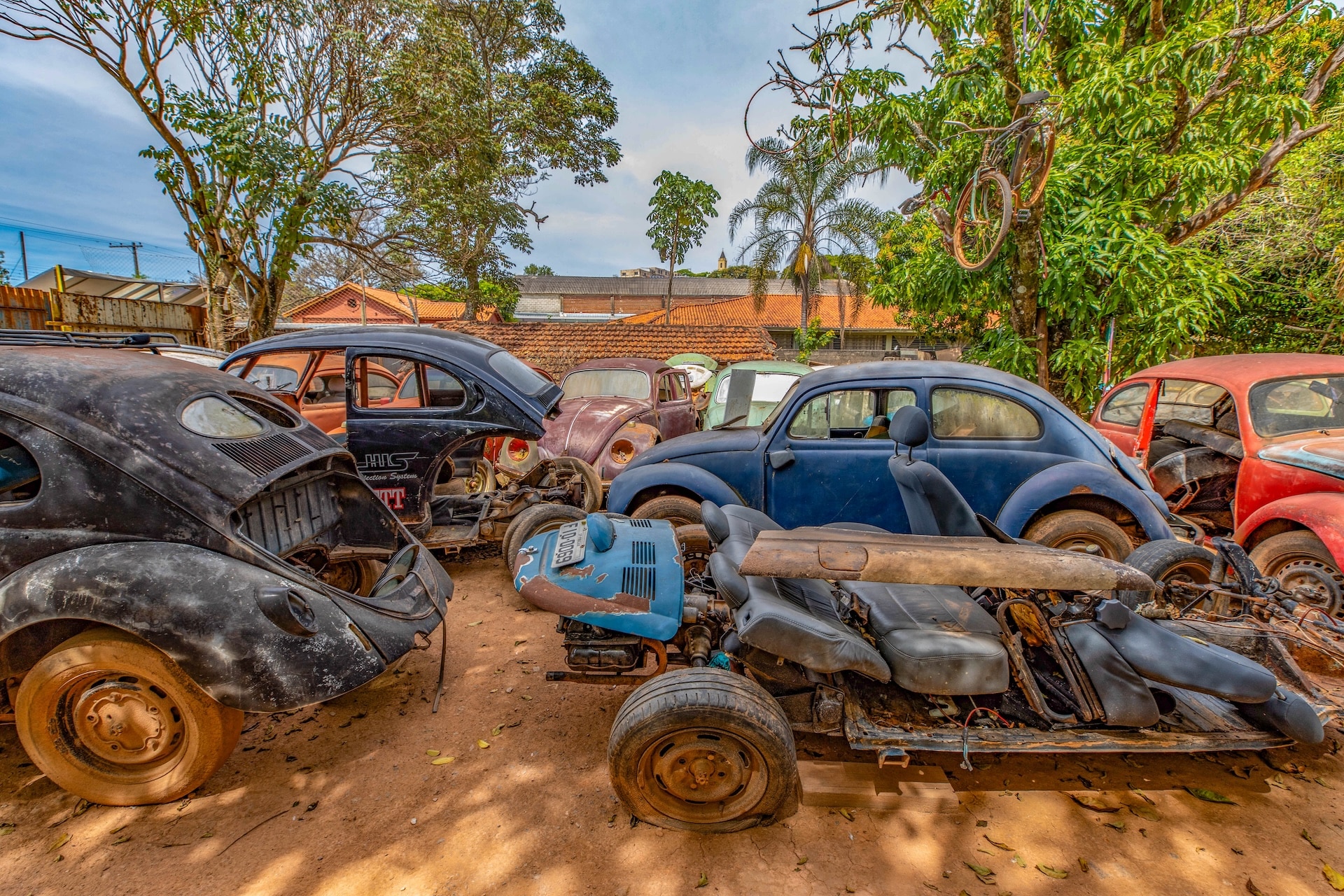 Piracaia_SalvaFusca-8