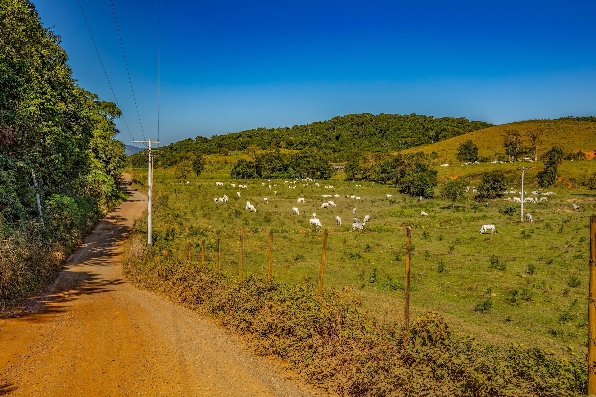 Eldorado_EstradadaUsina-1