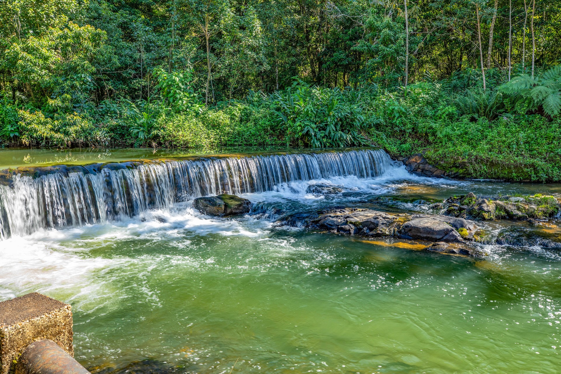 Eldorado_ParqueMunSaltodaUsi-3-1