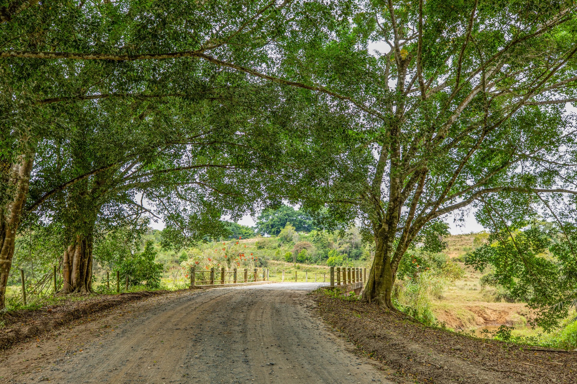 Jacupiranga_EstradadaMorangaba-1