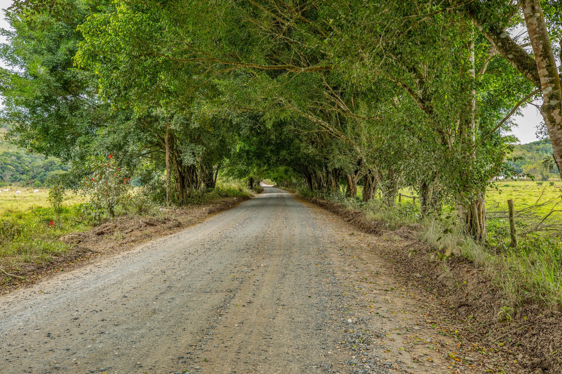 Jacupiranga_EstradadaMorangaba-3