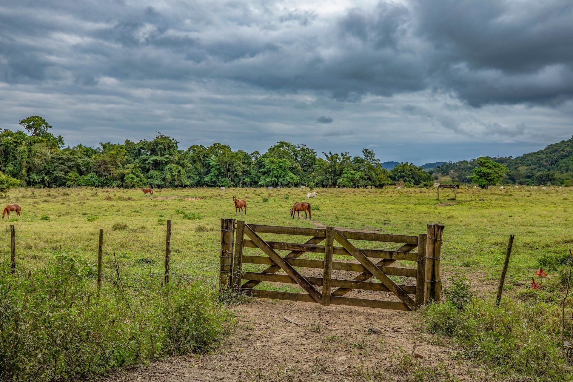 Jacupiranga_EstradadaMorangaba-4