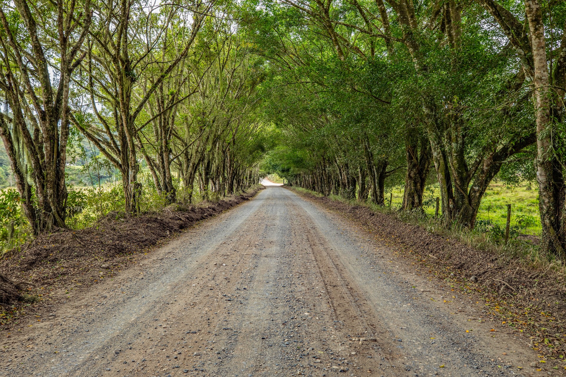 Jacupiranga_EstradadaMorangaba-5