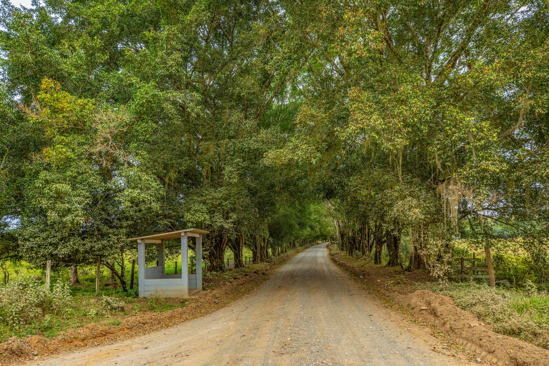 Jacupiranga_EstradadaMorangaba-7-1