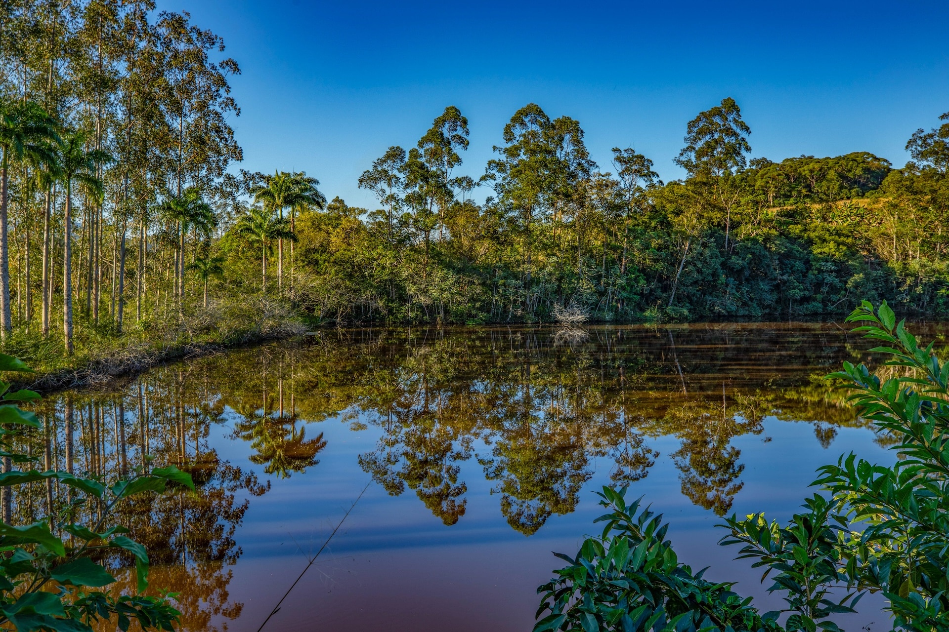 Eldorado_FazendaLM-11