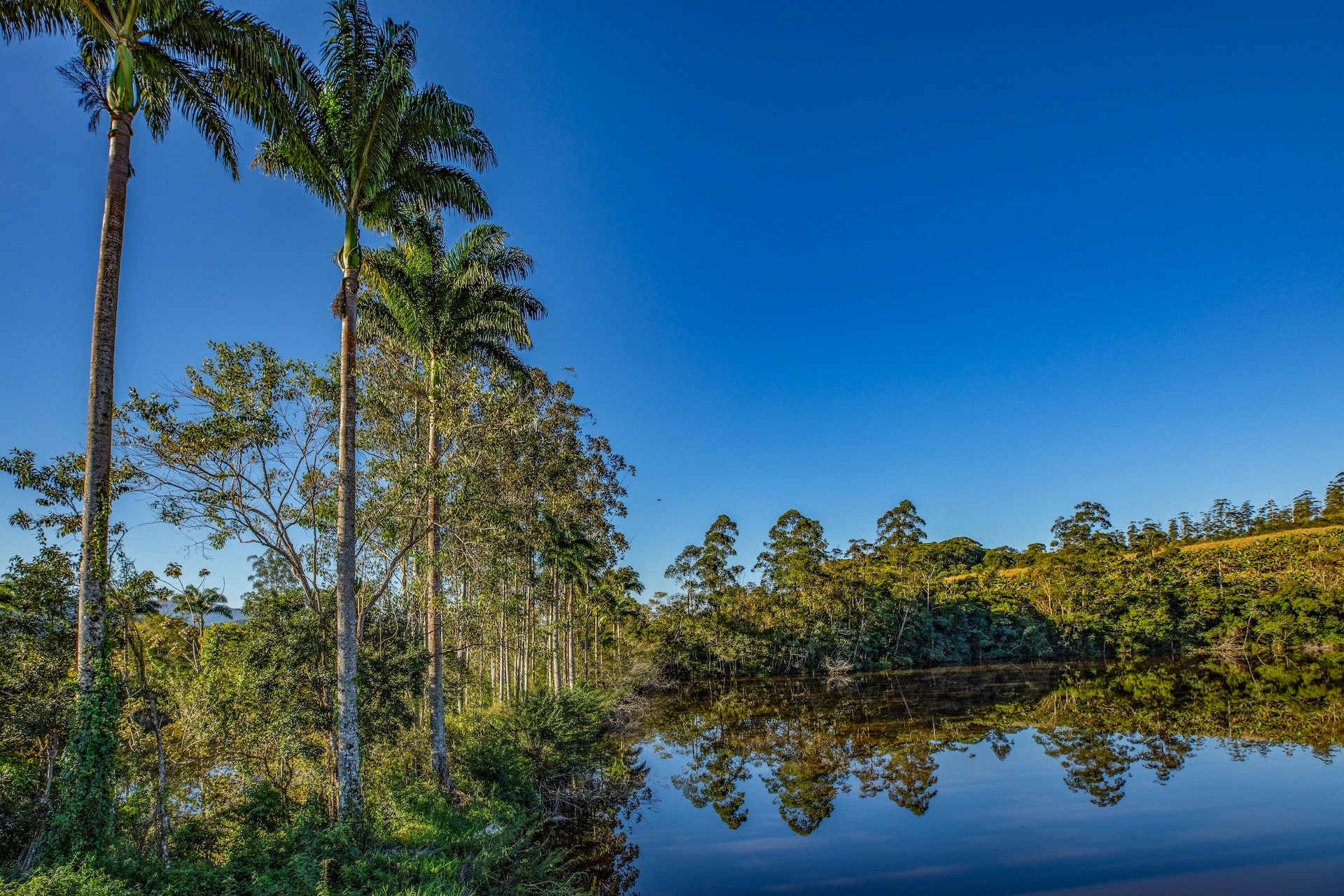 Eldorado_FazendaLM-14