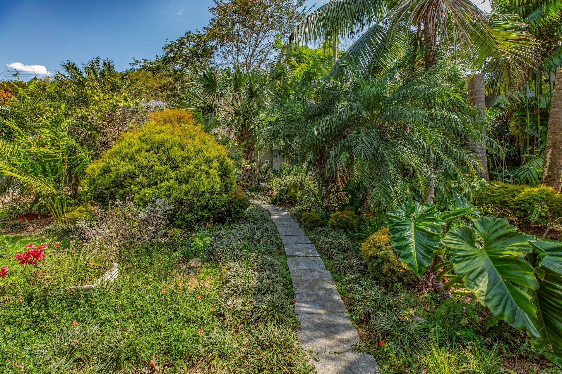 caraguatatuba_espacohartat-1