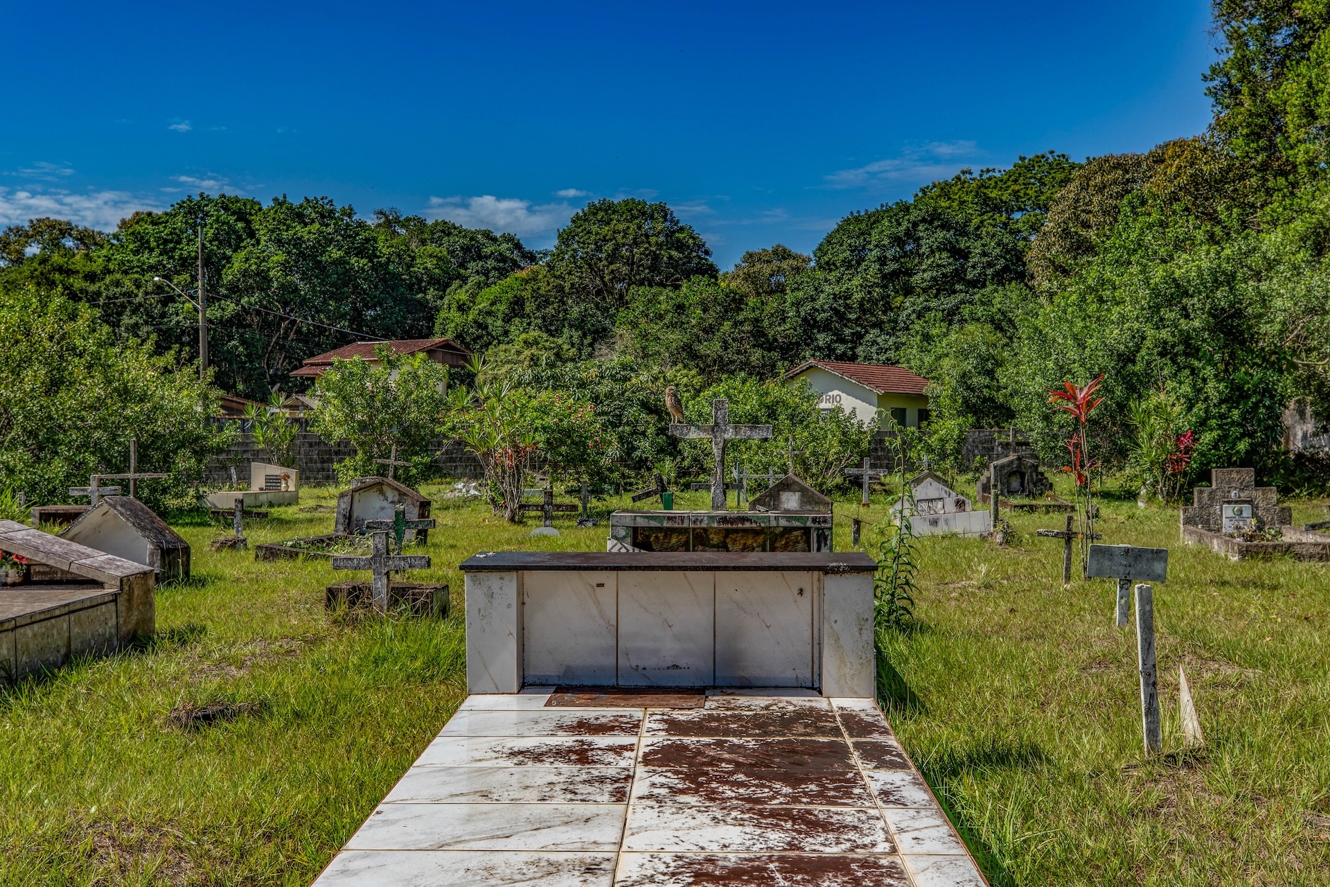 I1A4619TRATADA-BAIXA